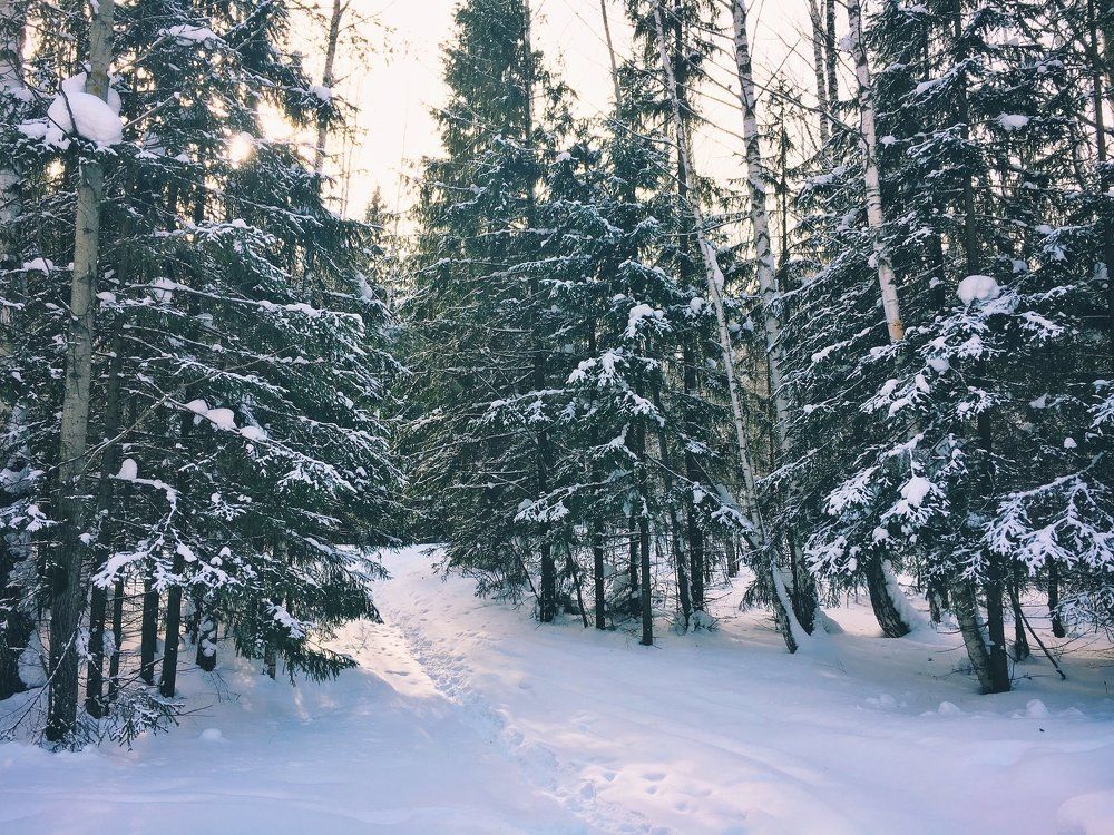 Photograph by Дмитрий