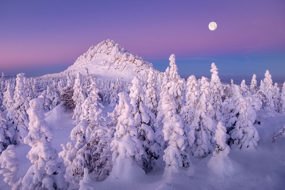 Лунная соната