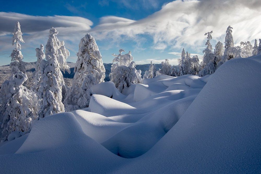 Снежный лабиринт