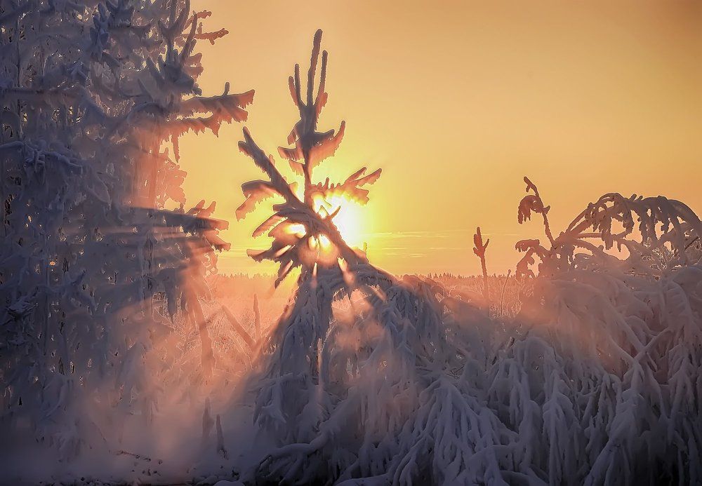 Декабрьский закат