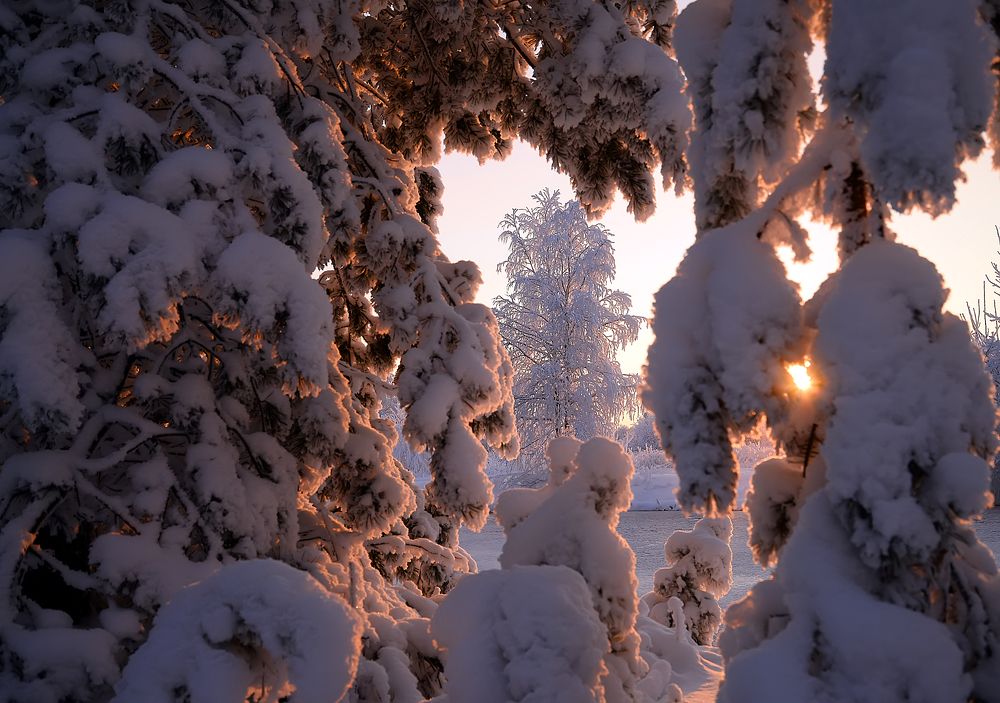 Зимний этюд