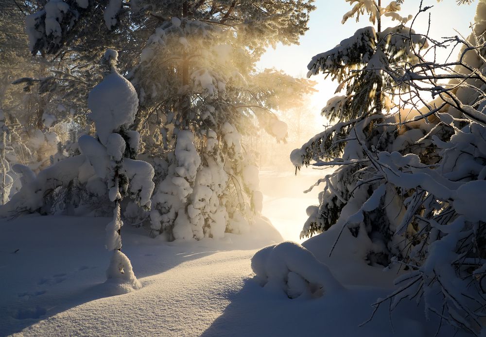 Мороз.Январь