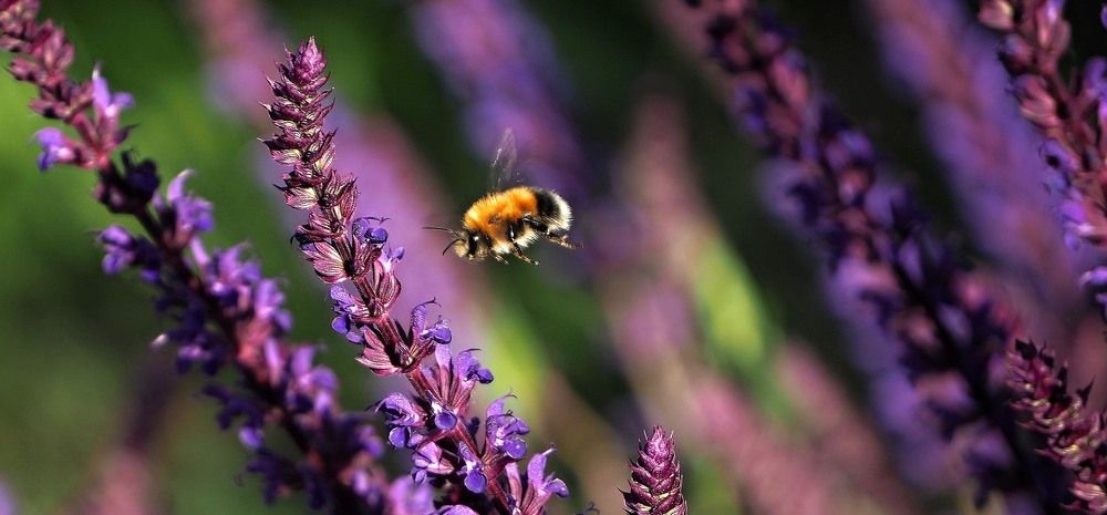 Невесомость