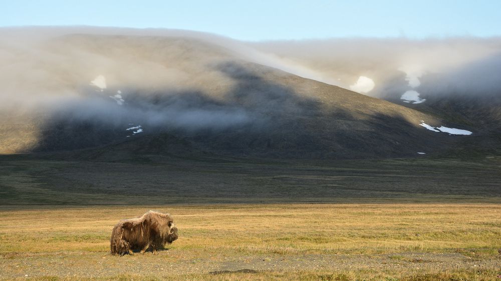 Безмятежность