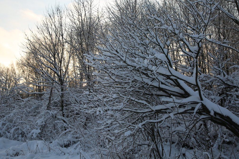 Зимняя сказка