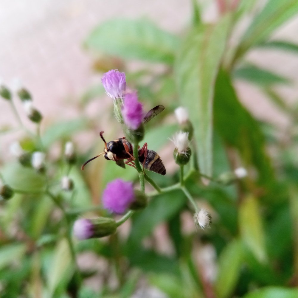 Photograph by Ibrahim Khanza