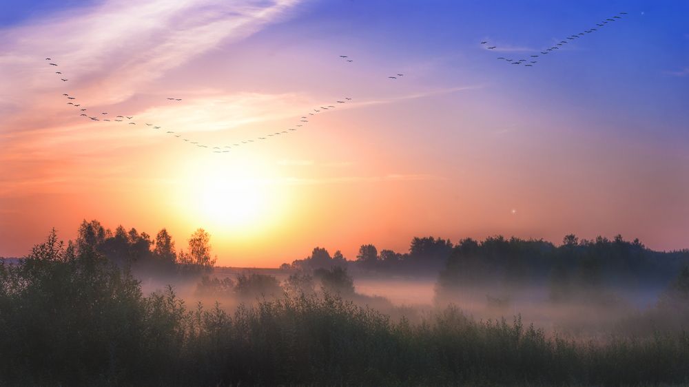 Новый и неповторимый