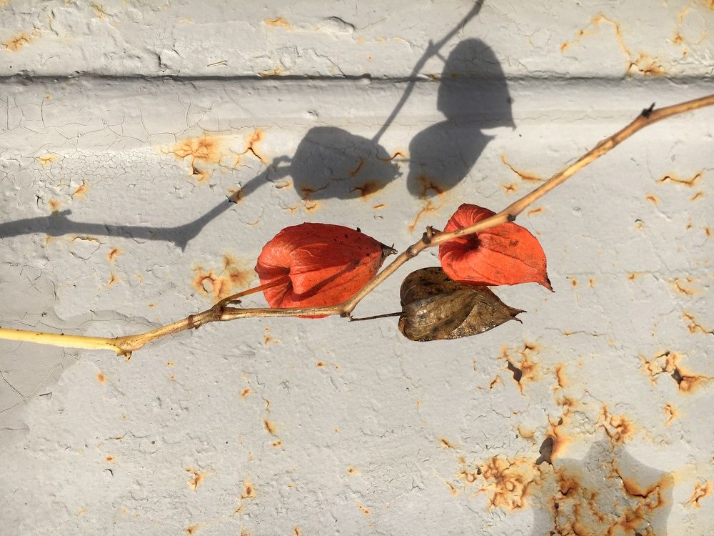 Ржавые картинки...