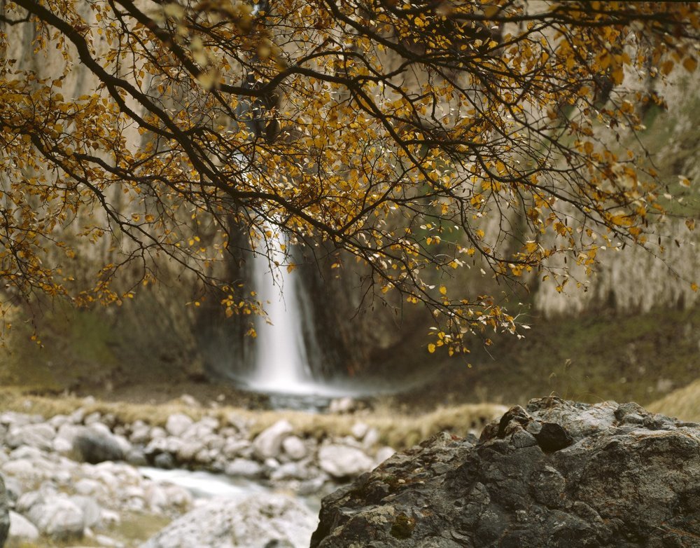 Pictorial Landscape 02