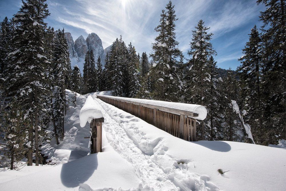Фотография автора Сергей Сынтин