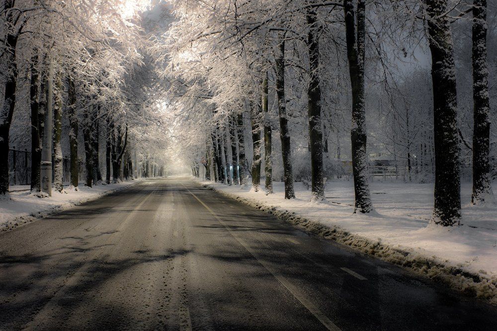 Ночная дорога