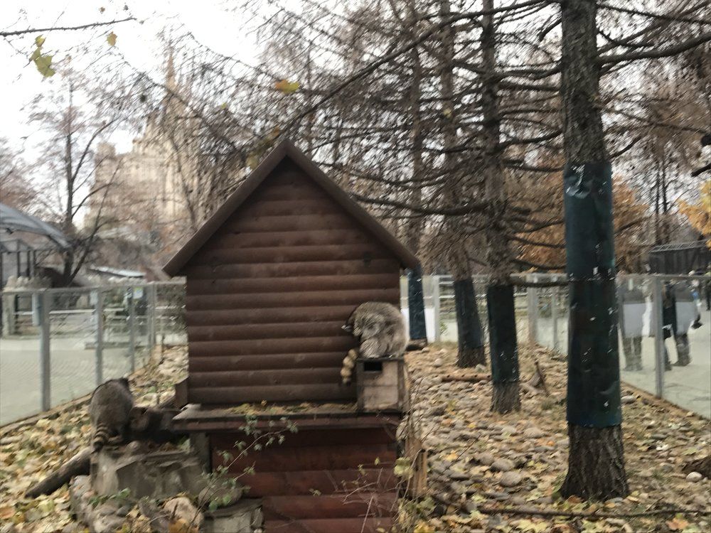 Photograph by Соня
