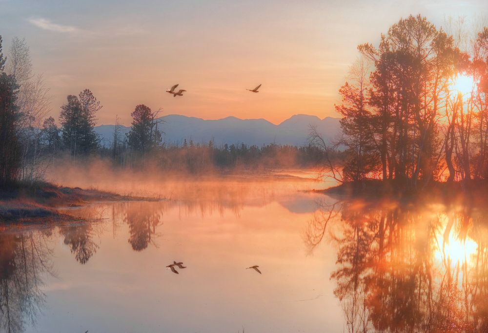 Третий лишний