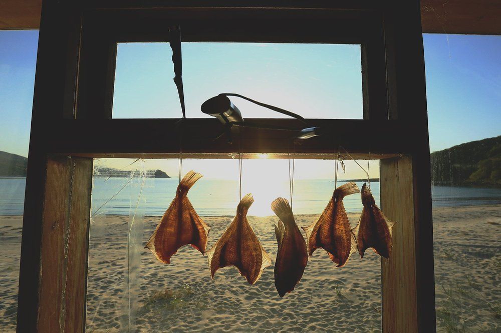 Камбала в окне