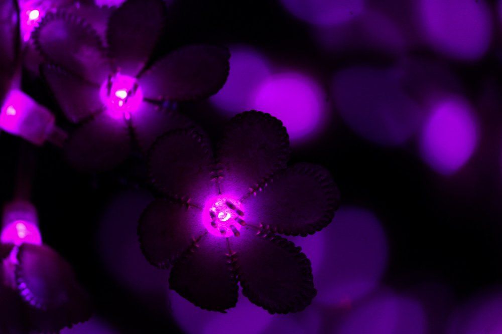 The Glowing Flower