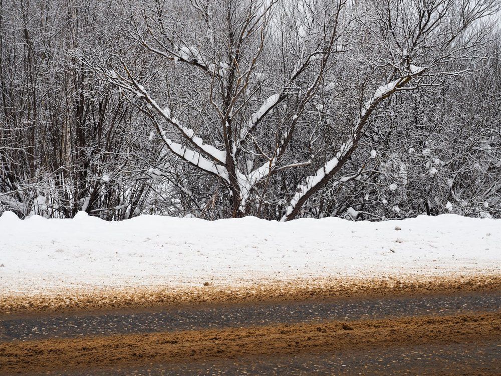 На зимней обочине