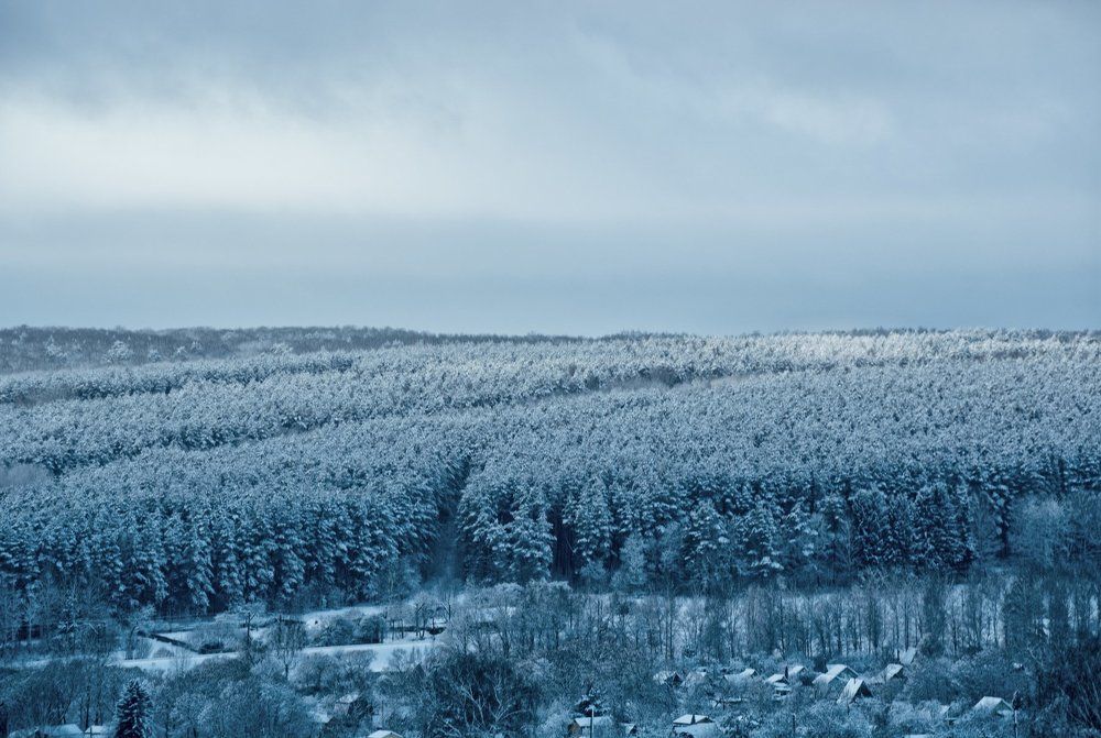 Зимнее царство