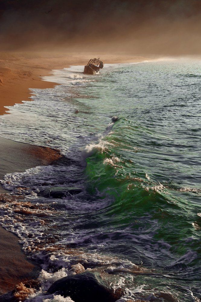 Зеленое море