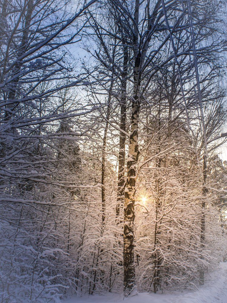 Зимушка-зима