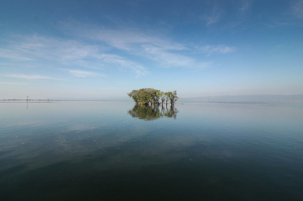 Lost in the vastness