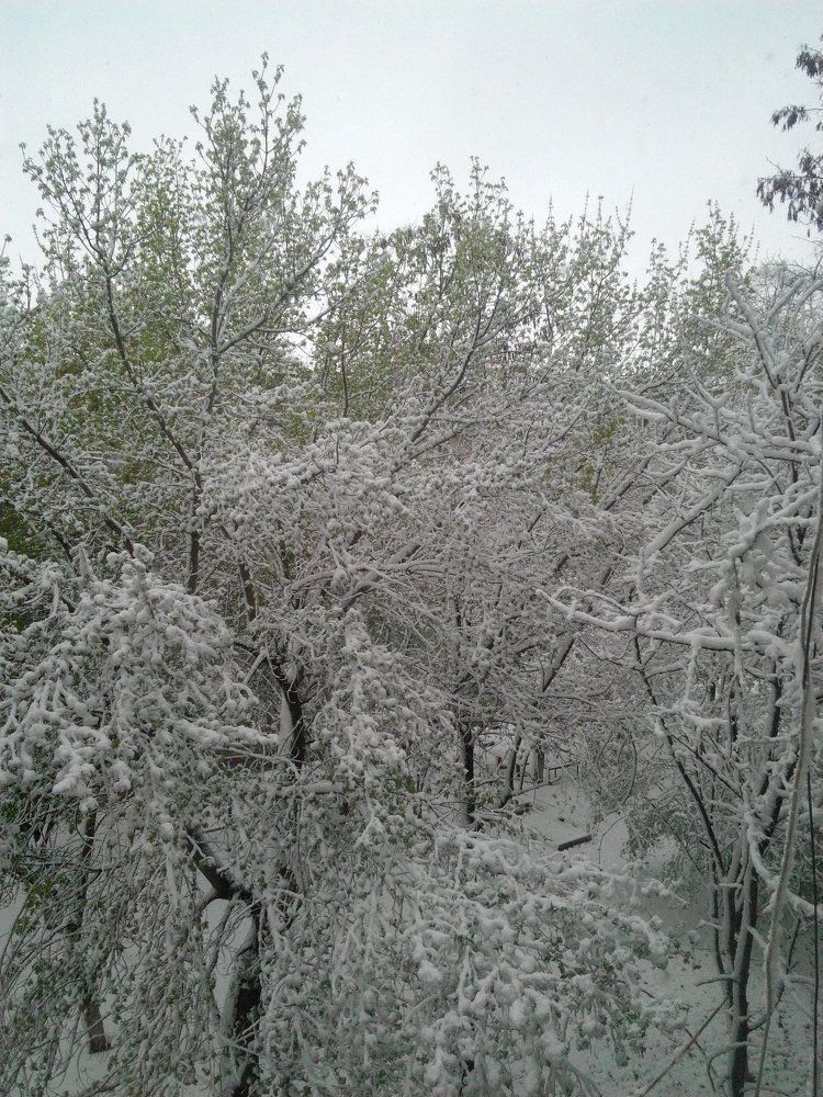 Вид с окна