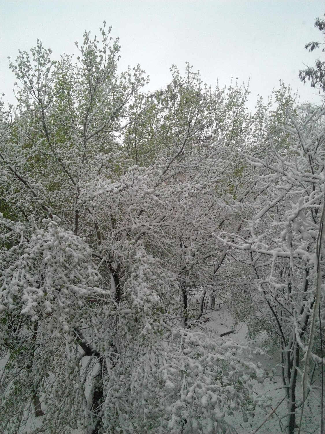 Вид с окна