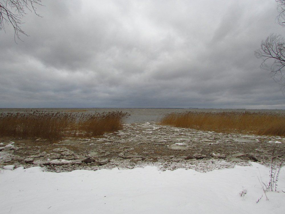 Зимний шторм