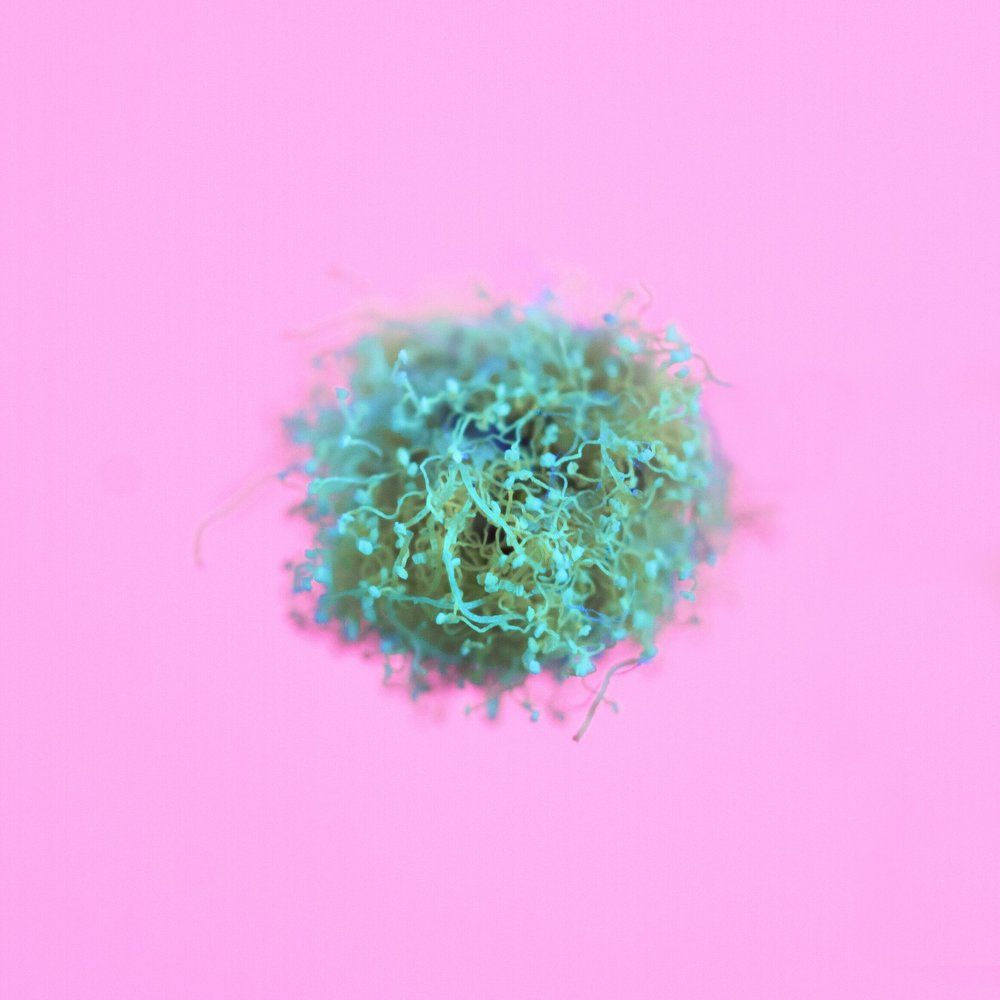 Молекула Акации