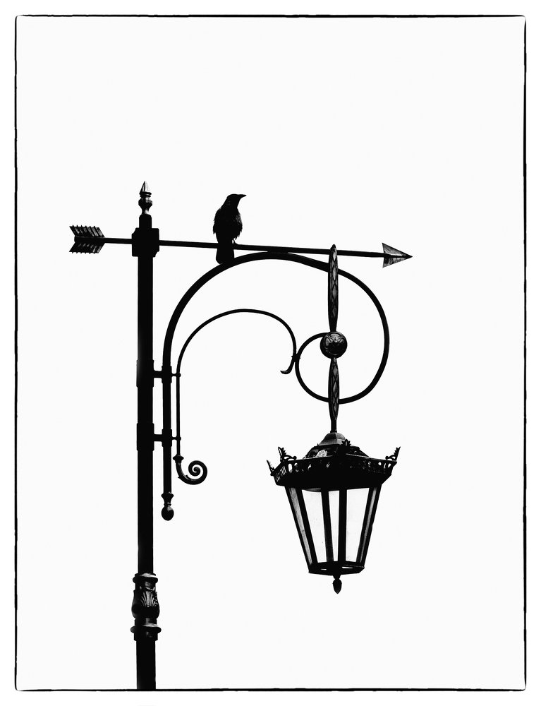 Photograph by Алексей Герасимов