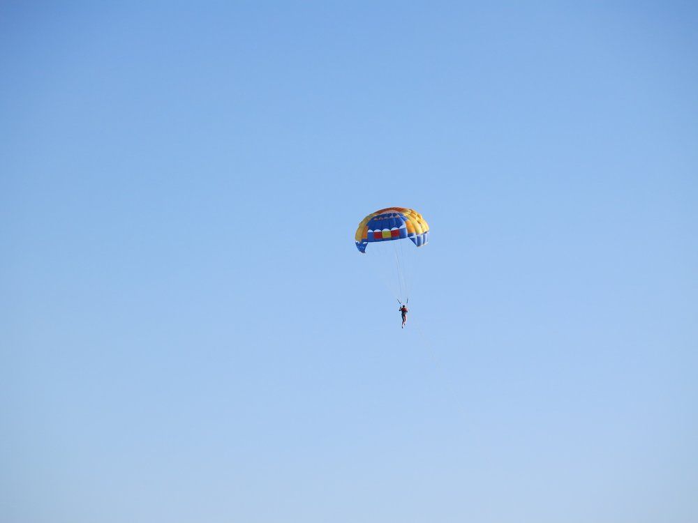 Разноцветный летун.