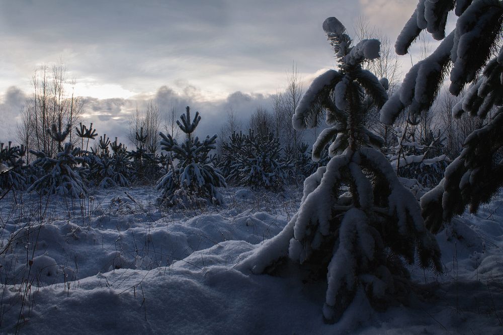 Зимний вечер