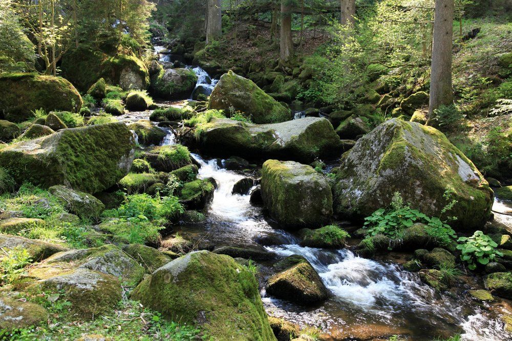 Waterfalls of the Black Forest.