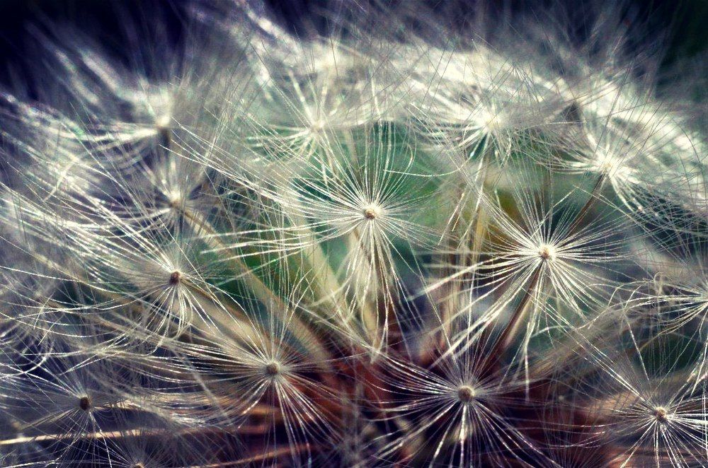 Эксперименты