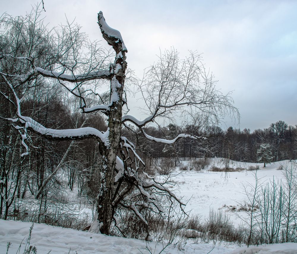 Хрустальный холод