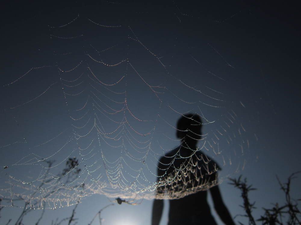 Spider man