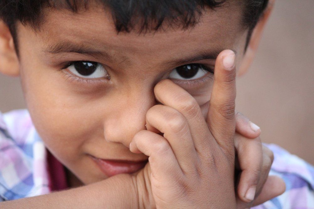 Chintu