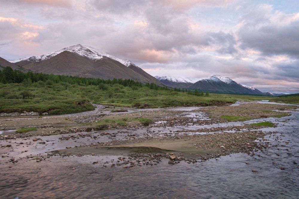 Первый холод