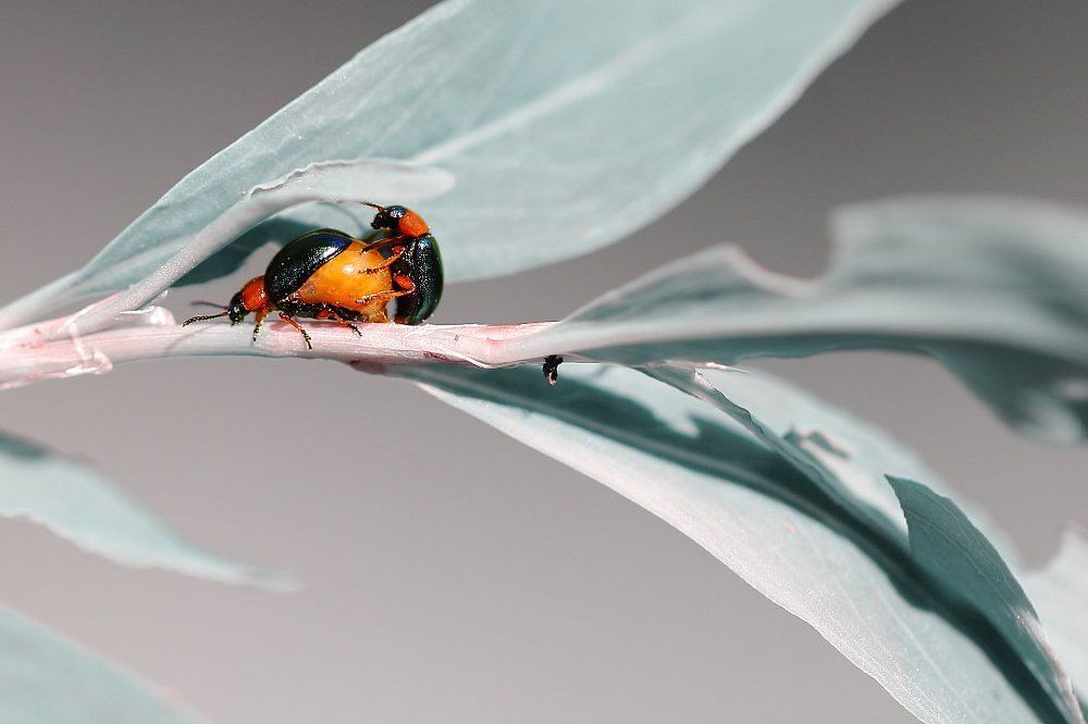 Кто не спрятался - я не виноват!...