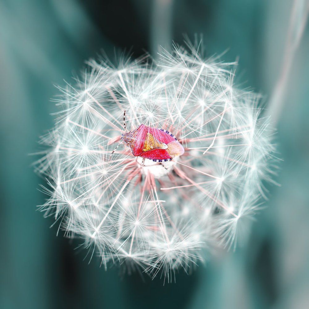 Субботнее утро. И пусть весь мир подождёт...