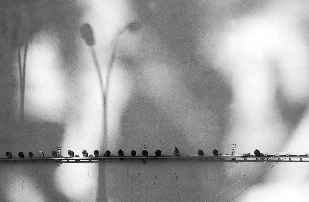 Городская графика