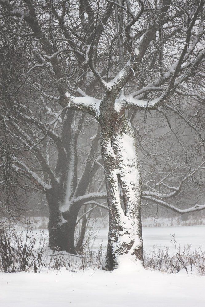 Долгожители Вяземской земли