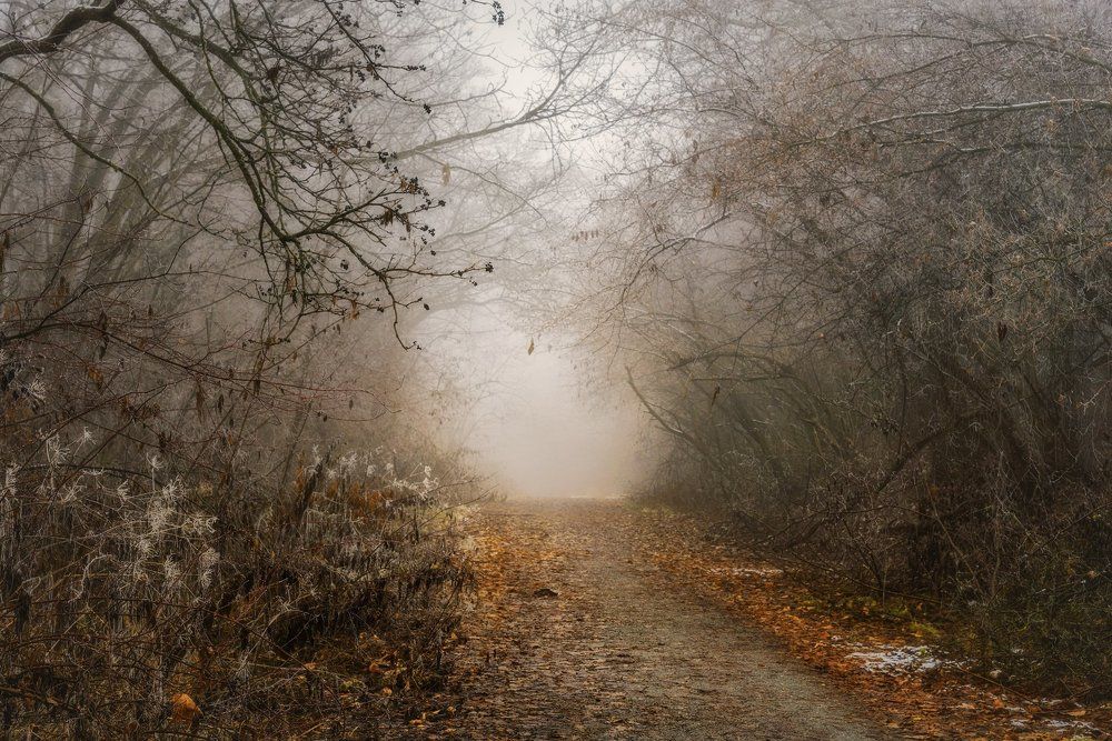 Фотография автора Шевченко Юрий