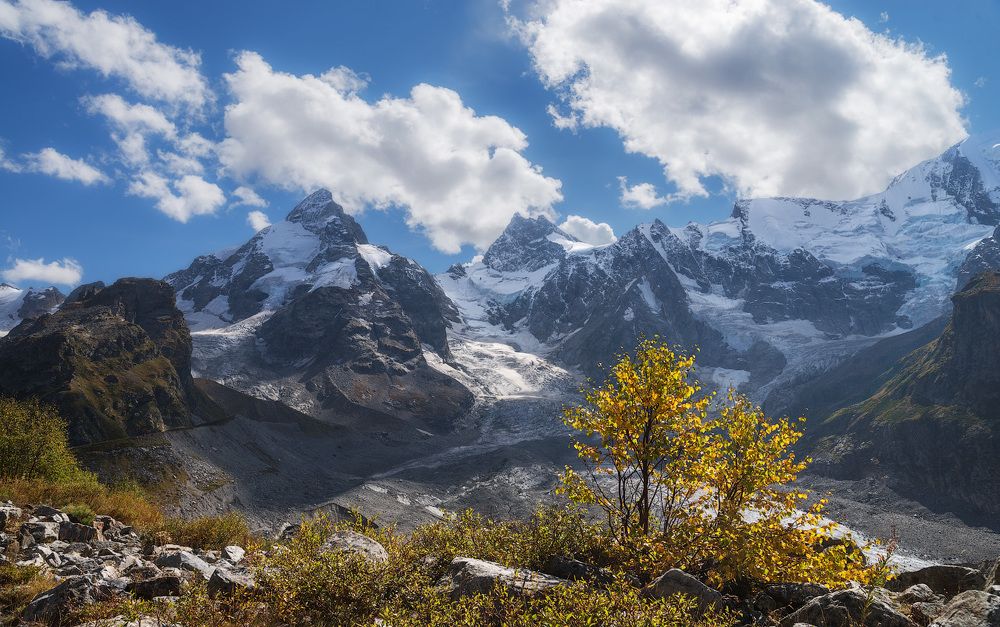 Фотография автора Шевченко Юрий