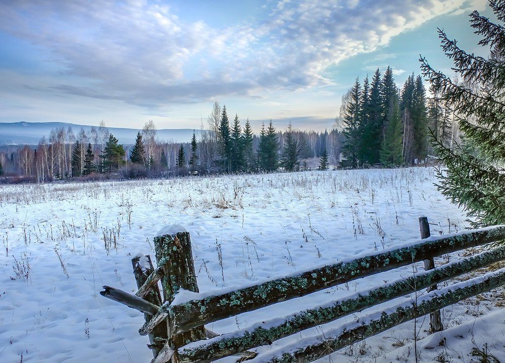 На дальних покосах.