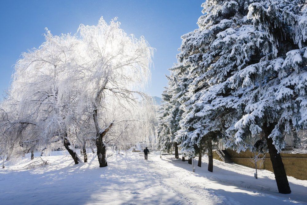 Утро в городском парке г. Кисловодска