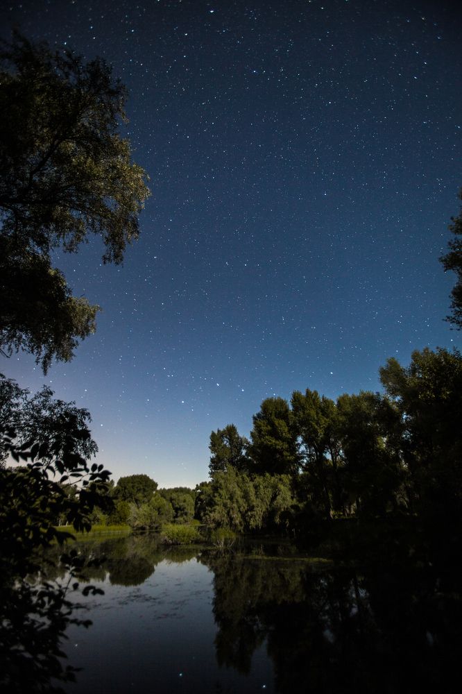 Охота за Персеидами.