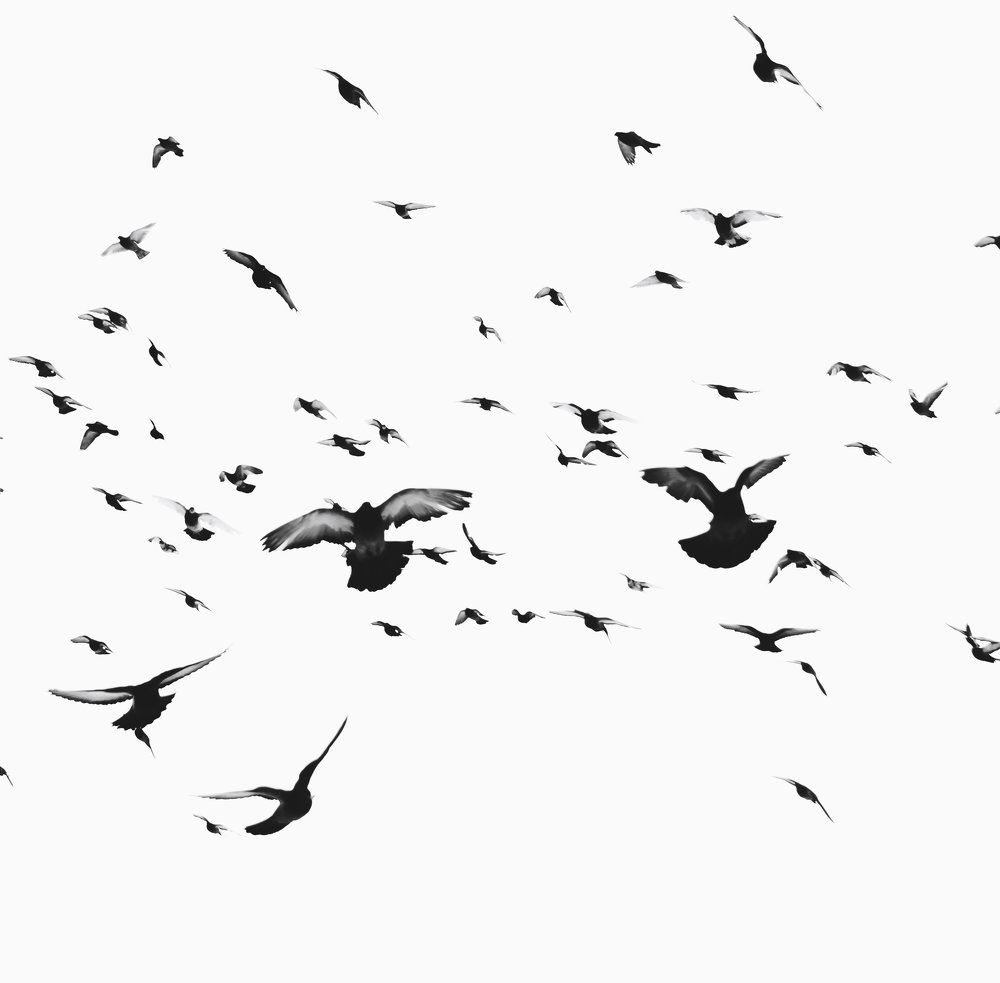 Photograph by Сигида Дмитрий