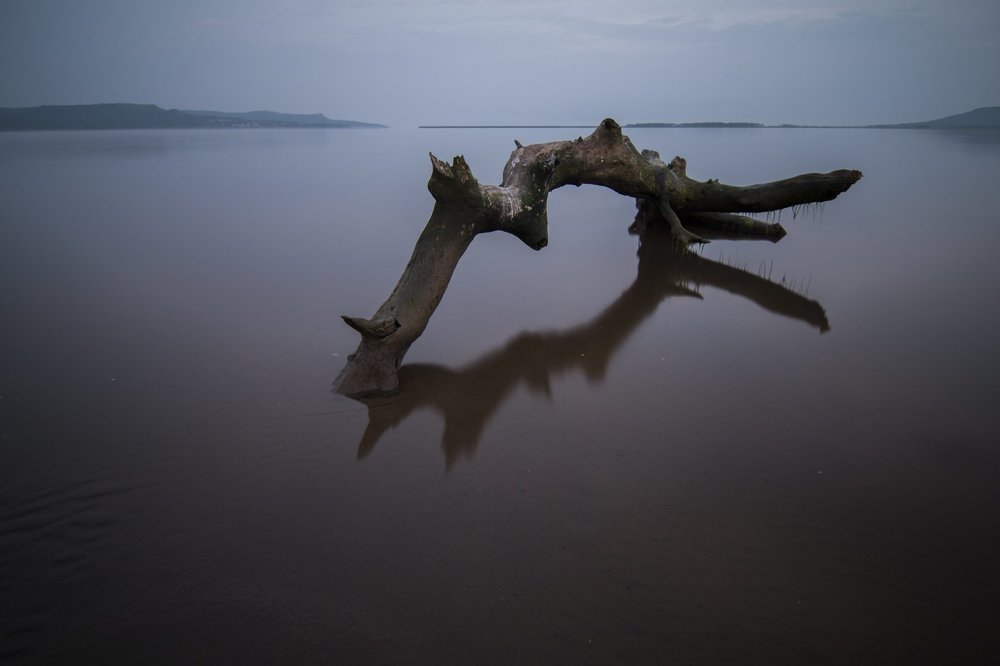 Photograph by Сигида Дмитрий