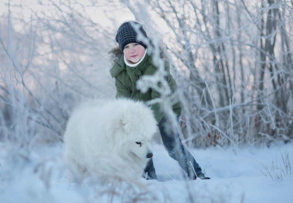 Photograph by Наталья Бурнина