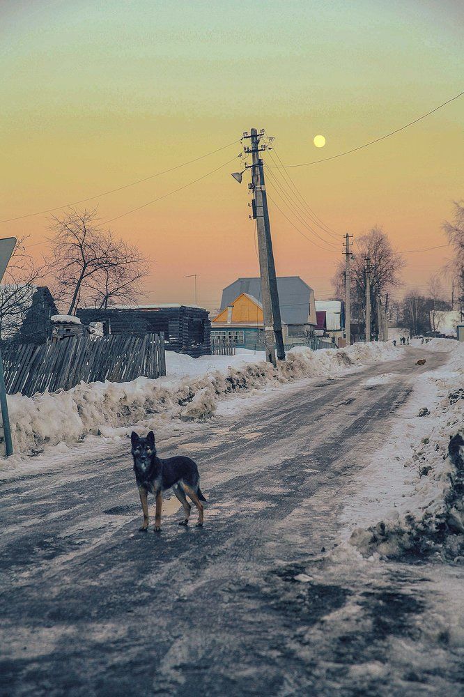 на закате уходящего дня